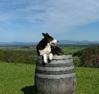 Windy Ridge Vineyard and Winery - Rent Accommodation