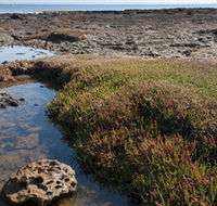 Ricketts Point Marine Sanctuary - Rent Accommodation