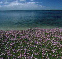 The Lakes National Park - Rent Accommodation