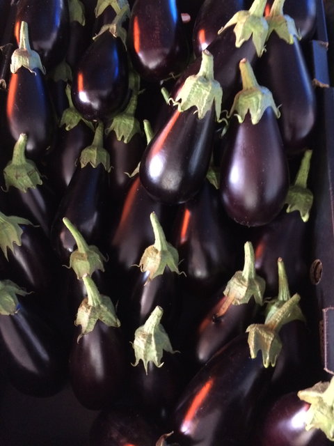 Main Street Market Mornington - Rent Accommodation 3