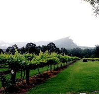 Cambewarra Estate Wines - Rent Accommodation