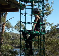 Trees Adventure Shoalhaven - Rent Accommodation