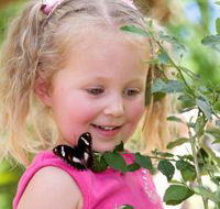 Coffs Harbour Butterfly House - Rent Accommodation