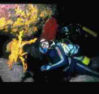 Solitary Islands Marine Park - Rent Accommodation