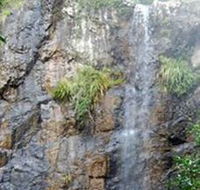 Wedding Bells Forest Drive - Rent Accommodation