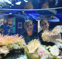 Solitary Islands Aquarium - Rent Accommodation