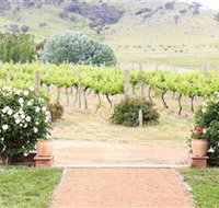 Brindabella Hills Winery - Rent Accommodation
