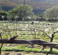 Three Willows Vineyard - Rent Accommodation