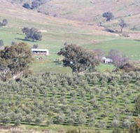 Wymah Organic Olives and Lambs - Rent Accommodation