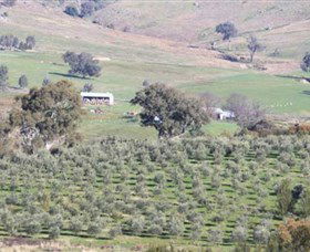 Wymah Organic Olives And Lambs - Rent Accommodation 0
