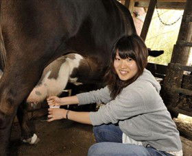 Warrook Farm - Rent Accommodation 2