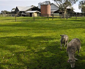 Warrook Farm - Rent Accommodation 4