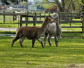 Warrook Farm - Rent Accommodation 6