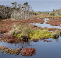 French Island National Park - Rent Accommodation