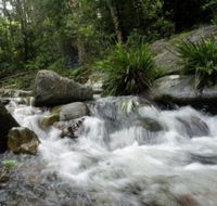 Washpool National Park - Rent Accommodation