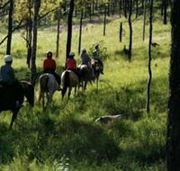 Hunter Valley Horse Riding and Adventures - Rent Accommodation