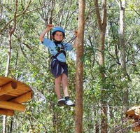 TreeTops Newcastle - Rent Accommodation