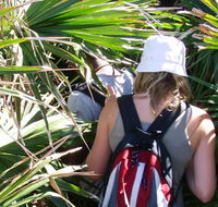 Palm Jungle loop track - Rent Accommodation