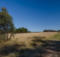 Scheyville horse riding trails - Rent Accommodation