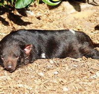 Symbio Wildlife Park - Rent Accommodation