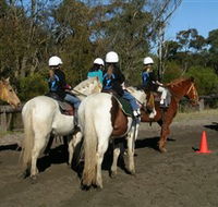 Darkes Forest Riding Ranch - Rent Accommodation