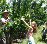 Forest Range Cherries - Rent Accommodation