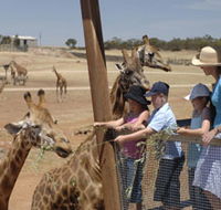 Monarto Open Range Zoo - Rent Accommodation