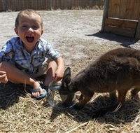 Animal Farm Goolwa - Rent Accommodation