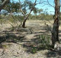 Tintinara Walking Trail - Rent Accommodation