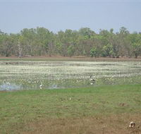 Leaning Tree Lagoon Nature Park - Rent Accommodation