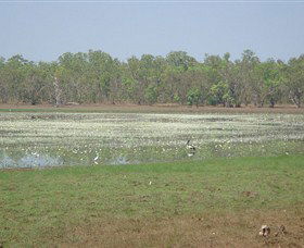 Leaning Tree Lagoon Nature Park - Rent Accommodation 0