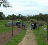 Avenue Emus - Rent Accommodation