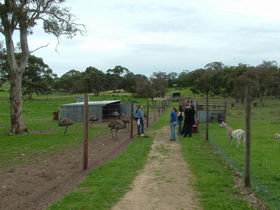 Avenue Emus - Rent Accommodation 0