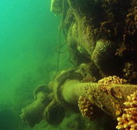 Wreck Diving at Magnetic Island - Rent Accommodation