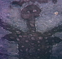 Quinkan Reserves Ancient Rock Art - Rent Accommodation