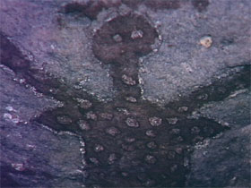 Quinkan Reserves Ancient Rock Art - Rent Accommodation 0