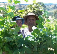 Wimmera Hills Winery - Rent Accommodation