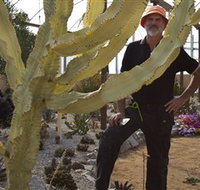 Cactus Country - Rent Accommodation