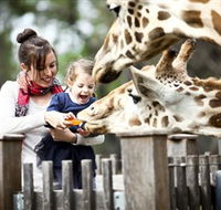 Taronga Western Plains Zoo Dubbo - Rent Accommodation