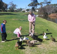 Roy Little Park Merredin - Rent Accommodation