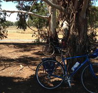 Murchison Rail Trail - Rent Accommodation