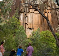 Sawn Rocks walking track - Rent Accommodation