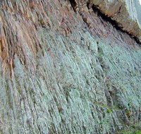 The Rock Nature Reserve - Kengal Aboriginal Place - Rent Accommodation