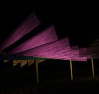 Public Art Wagga Wagga - Rent Accommodation