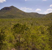 Kutini-Payamu Iron Range National Park CYPAL - Rent Accommodation
