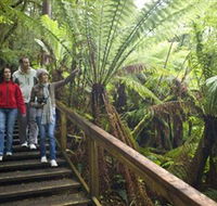 Otway Fly Treetop Adventures - Rent Accommodation