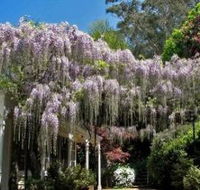 Nooroo Gardens - Rent Accommodation