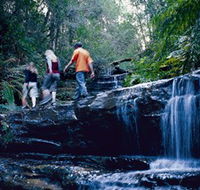South Lawson Waterfall Circuit - Rent Accommodation