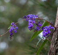 Mann River Nature Reserve - Rent Accommodation