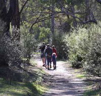 Syd's Rapids and Aboriginal Heritage Trail Avon Valley - Rent Accommodation